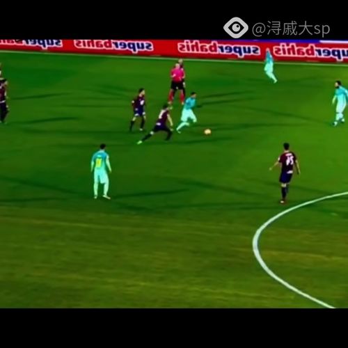 浙江队 vs 天津津门虎，备战情况一览